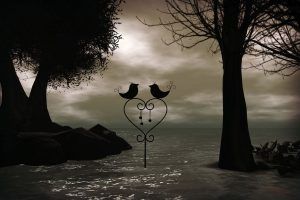 una historia de amor
