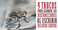 9 trucos para ignorar las distracciones al escribir relatos cortos relatos cortos